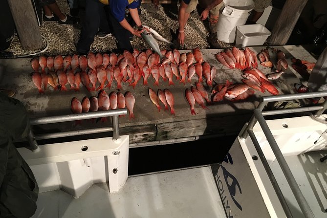 Half-Day Fishing Trip in Fort Lauderdale - Trip Overview