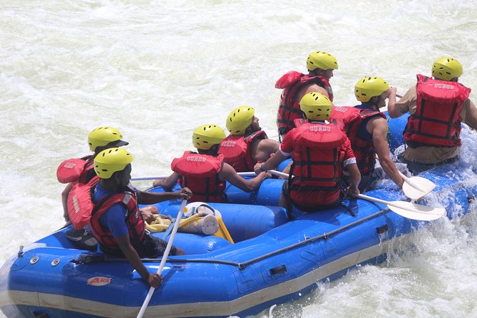 Half Day Zambezi Whitewater Rafting - Overview of the Experience