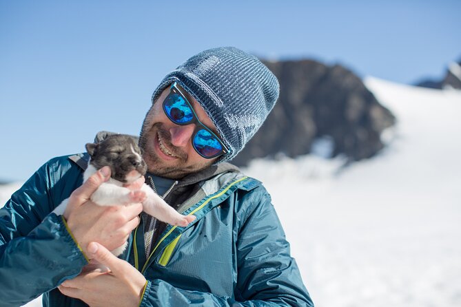 Helicopter Glacier Dogsled Tour + Lower Glacier Landing – ANCHORAGE AREA