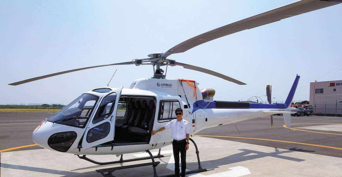 Helicopter Shuttle Service Between Narita and Tokyo - Service Overview