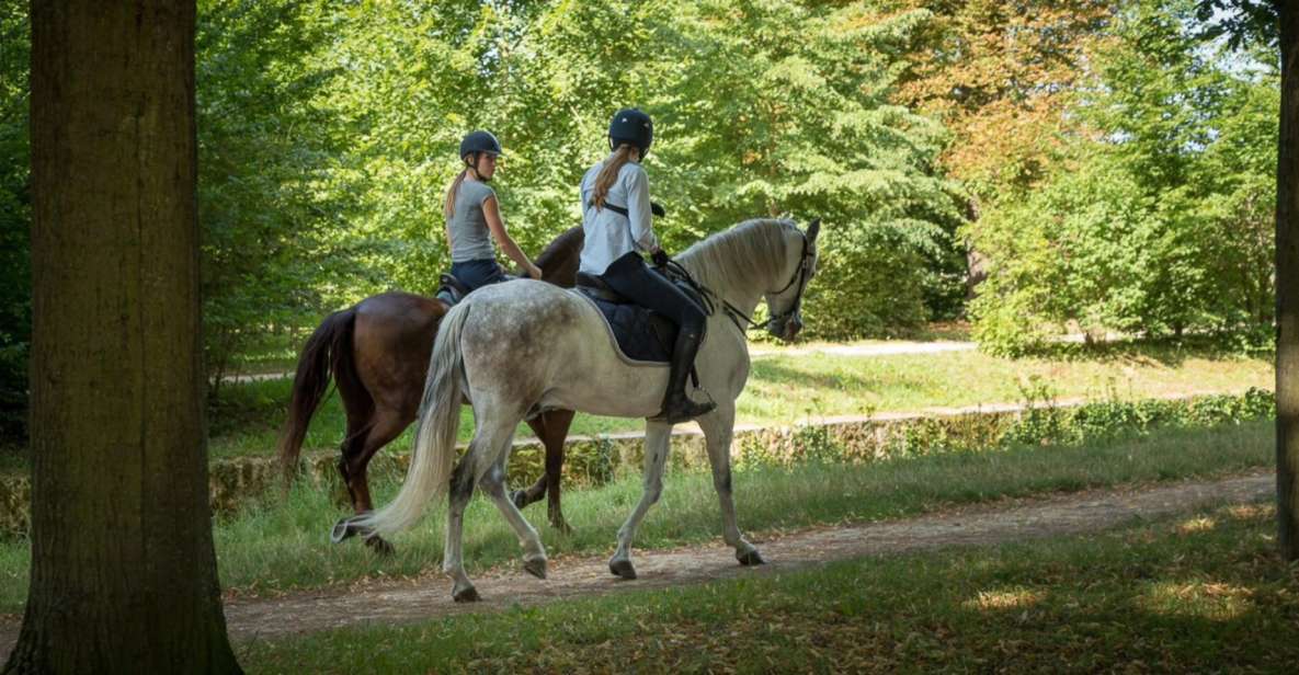 Horse Ride Versailles Intimacy & VIP - Overview of the Experience