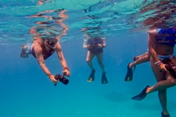 Jet Snorkeling in Turtle, Dolphin and Monk Seal Bay