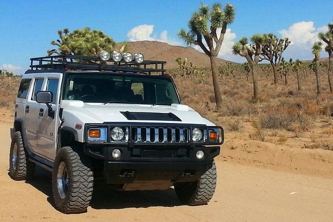 Joshua Tree National Park Air-Conditioned Tour