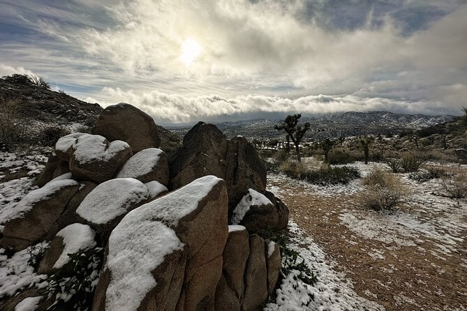 Joshua Tree National Park Self-Driving Audio Tour