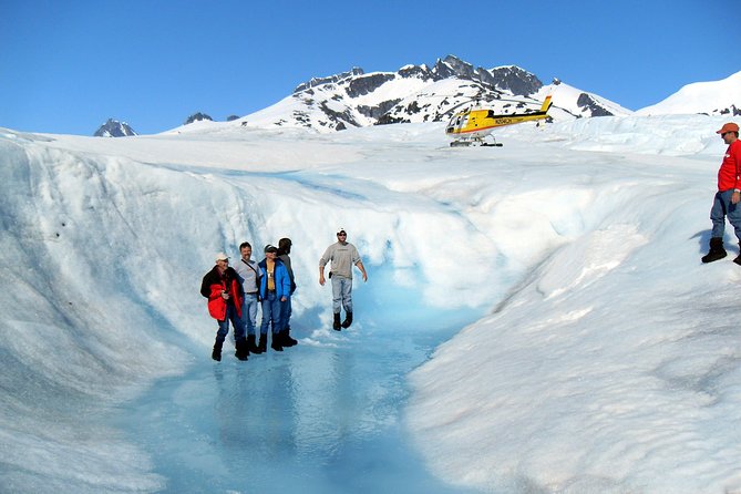 Juneau Shore Excursion: Helicopter Tour and Guided Icefield Walk - Overview of the Tour