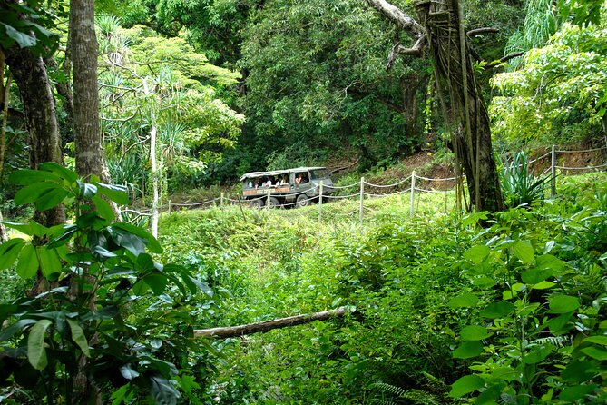 Jungle Expedition Tour at Kualoa Ranch - Location and Duration