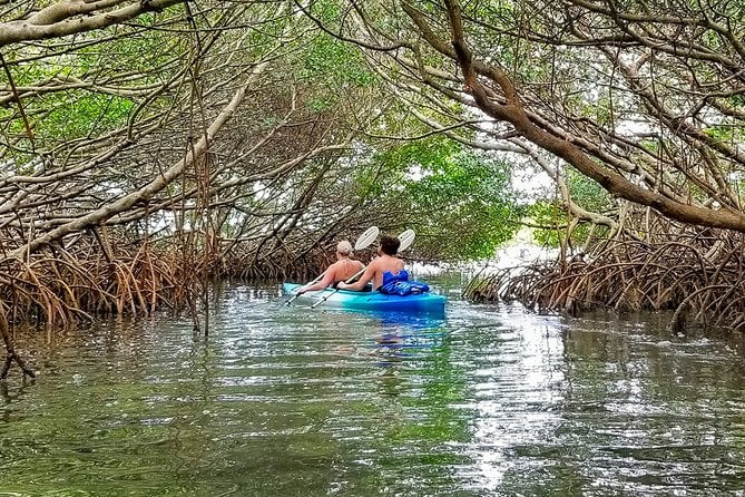 Kayak Adventure of Shell Key Preserve & Island With a Local - Kayak Tour Highlights