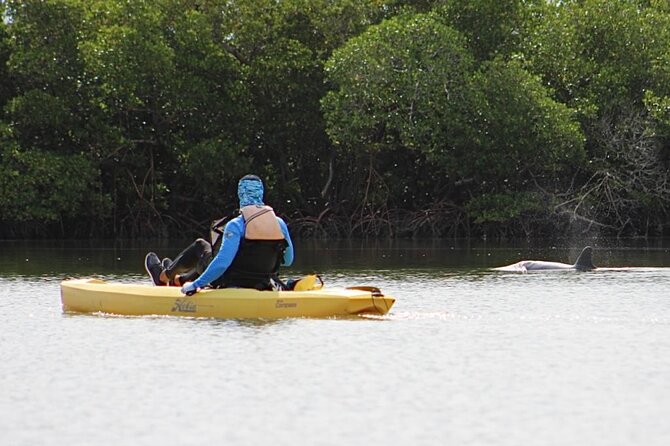 Kayak Tour Adventure Marco Island and Naples Florida - Tour Description