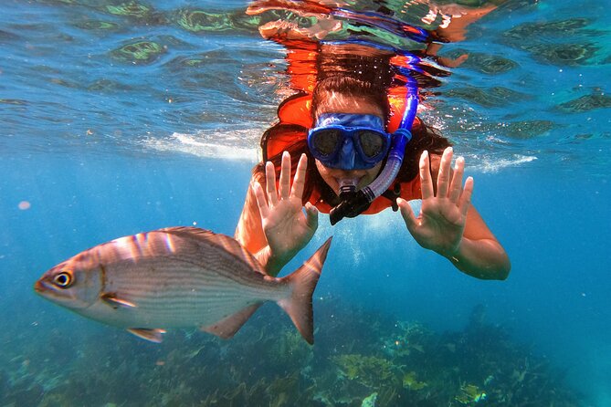 Key Largo Two Reef Snorkel Tour - All Snorkel Equipment Included! - Tour Overview