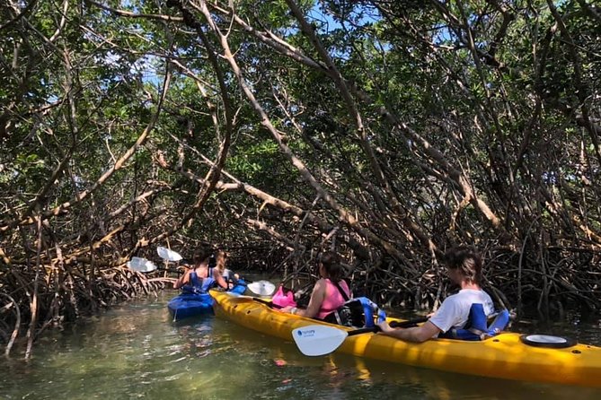 Key West Mangrove Kayak Eco Tour - Reviews