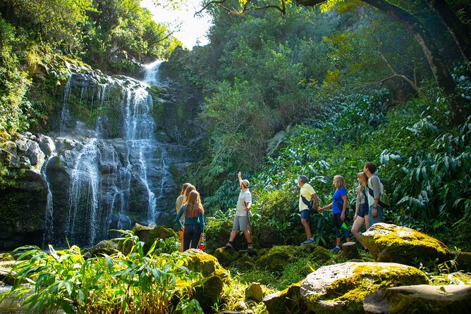 Kohala Waterfalls Small Group Adventure Tour - Tour Overview