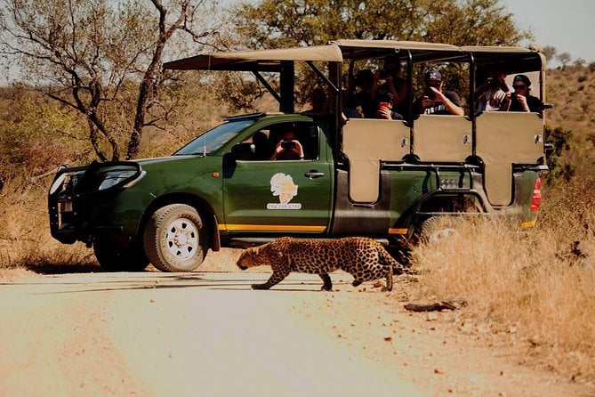 Kruger National Park Full Day Private Safari - About the Safari