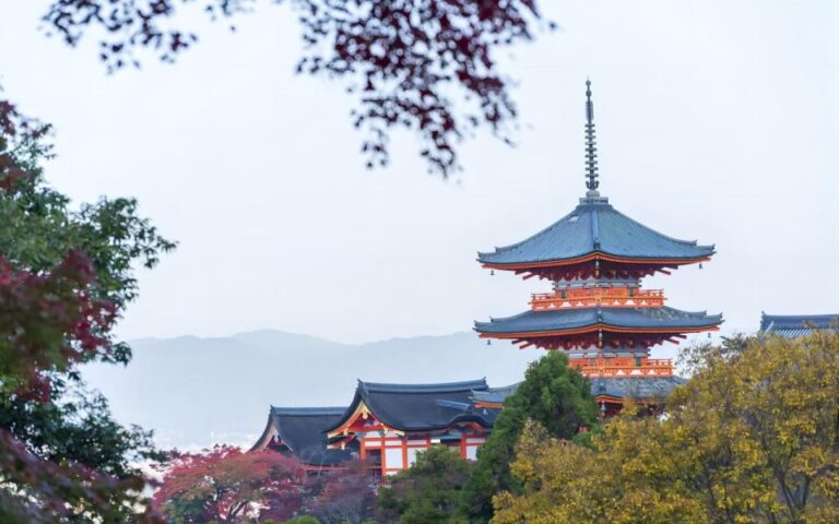 Kyoto: Customizable Private Tour With Hotel Transfers