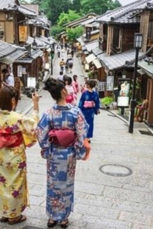 Kyoto: Highlight Tour With English-Speaking Driver - Arashiyama Highlights