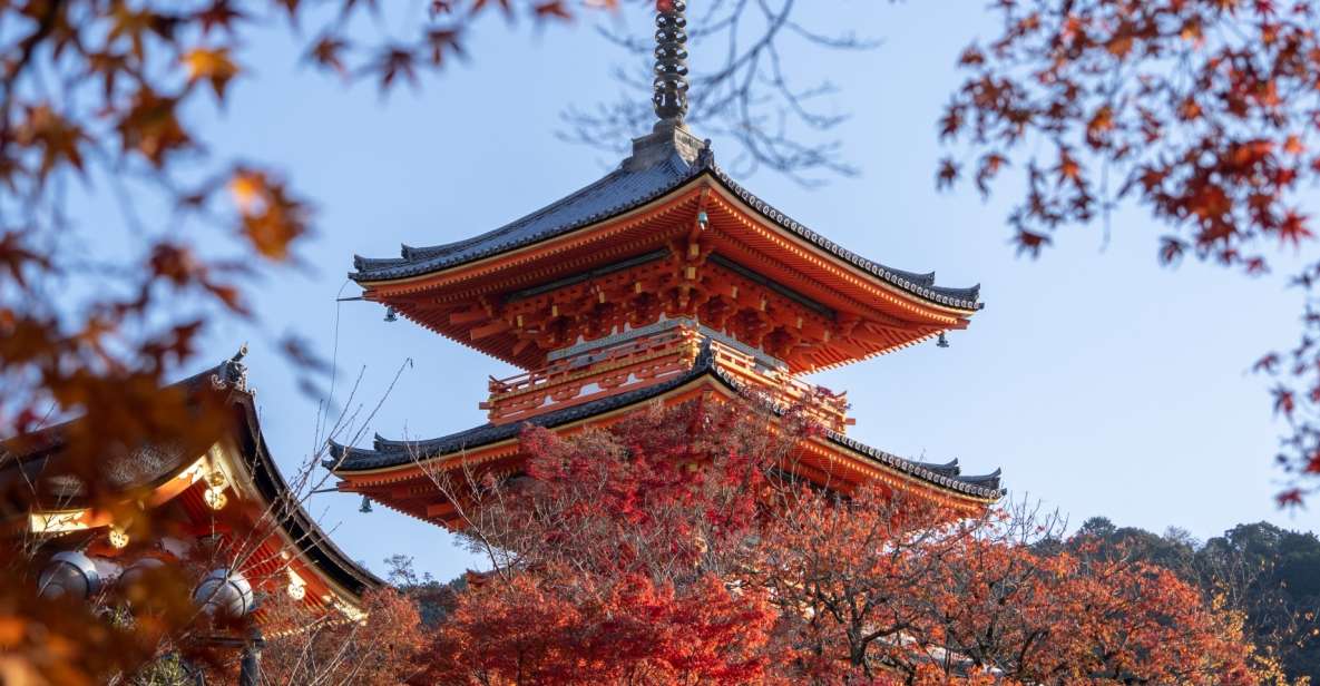Kyoto: Personalized Guided Private Tour - Tour Details