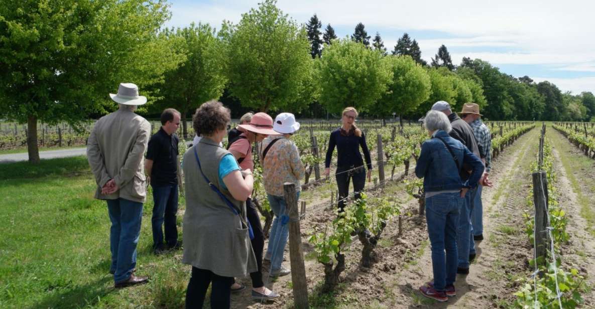 Loire Valley Tour & Wine Tasting Vouvray, Chinon, Bourgueil - Private Day Tour From Tours or Amboise