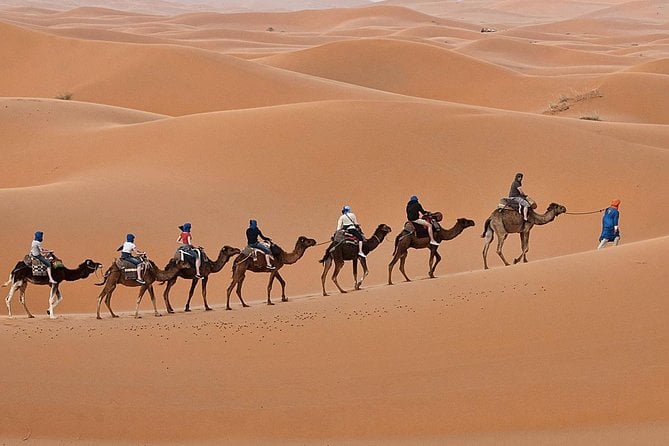 Luxury 2-Days Desert Trip From Fes To.:( Fes or Marakech)