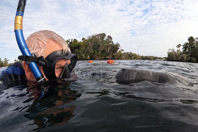 Manatee Adventure, Airboat, Lunch, Wildlife Park With Transport - Tour Overview