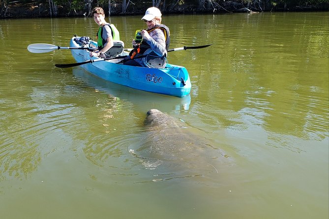 Manatee and Dolphin Kayaking | Haulover Canal (Titusville) - Overview of the Tour