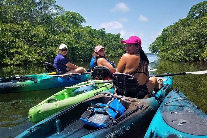 Mangrove Tunnel Kayak Adventure in Key Largo - Meeting Point