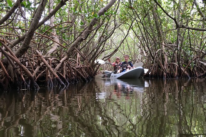 Mangrove Tunnel, Manatee and Dolphin Kayak Tour of Cocoa Beach - Tour Details