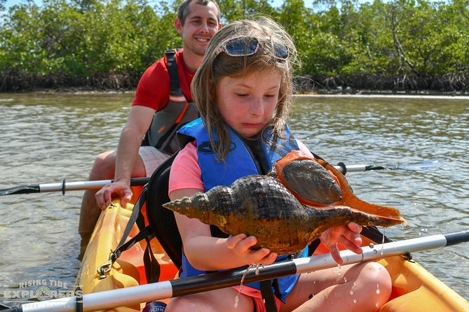 Mangrove Tunnels & Mudflats Kayak Tour - Local Biologist Guides - Tour Overview