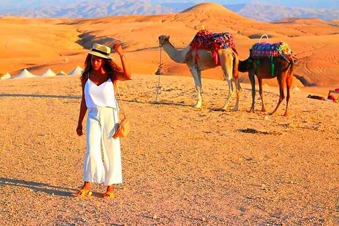 Marrakech High Atlas Mountains 3 Valleys Waterfalls & Camel Ride - Included Experiences