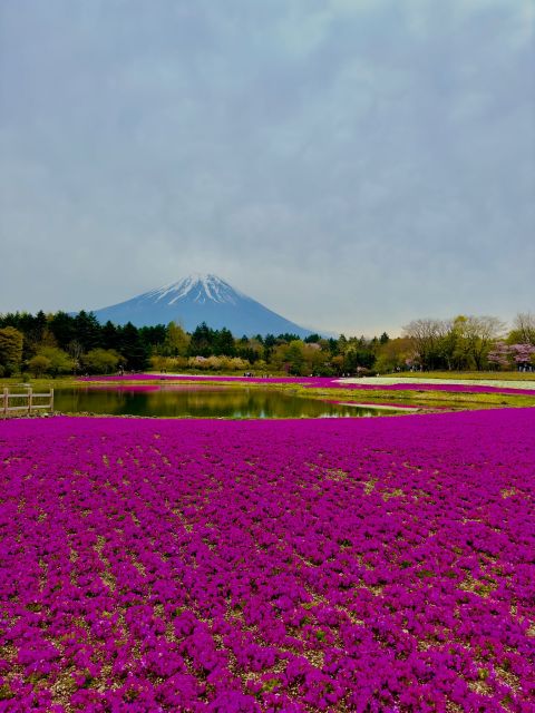 Mount Fuji Hakone With English-Speaking Guide