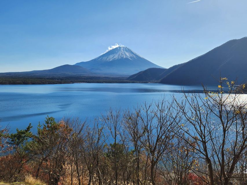 Mt Fuji and Hakone Private Tour With English Speaking Driver - Tour Overview