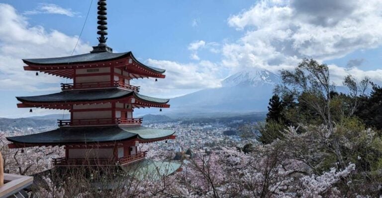 Mt Fuji & Hakone: Sightseeing Private Day Tour With Guide