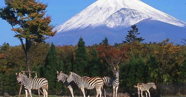 Mt Fuji : Highlight Tour and Unforgettable Experience