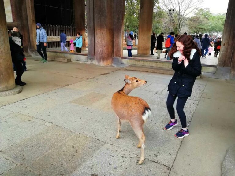 Nara: Nara Park Private Family Bike Tour With Lunch