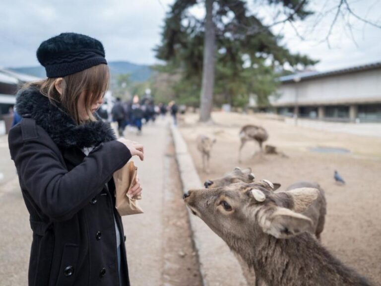 Nara’s Historical Wonders: A Journey Through Time and Nature