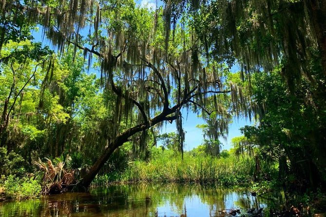 New Orleans Swamp Tour Boat Adventure With Transportation - Tour Inclusions