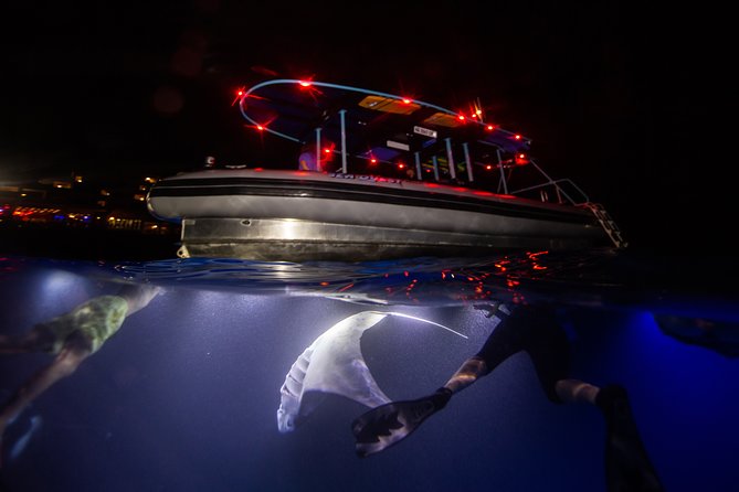Night Manta Ray Experience - Whats Included