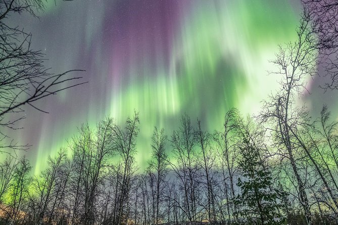 Northern Lights Adventure With Greenlander, 8 People Max