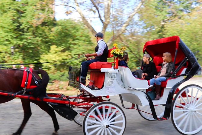 NYC Central Park Horse Carriage Ride (Up to 4 Adults)