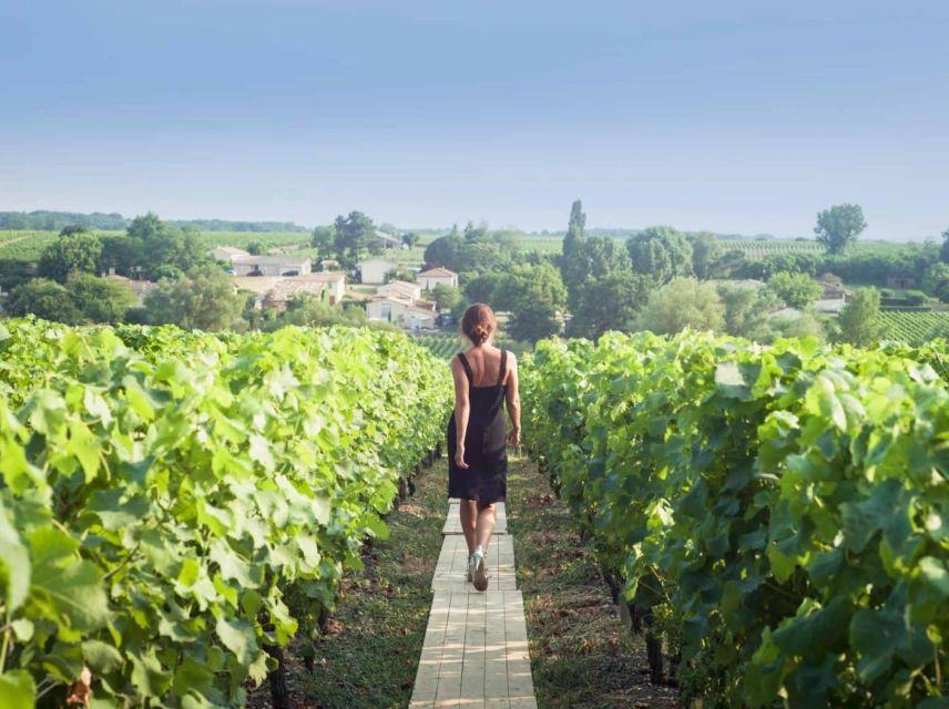 Paris: Discover the Cellars in the Countryside in Champagne - Transportation to Champagne Region
