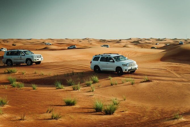 Premium Desert Safari Experience