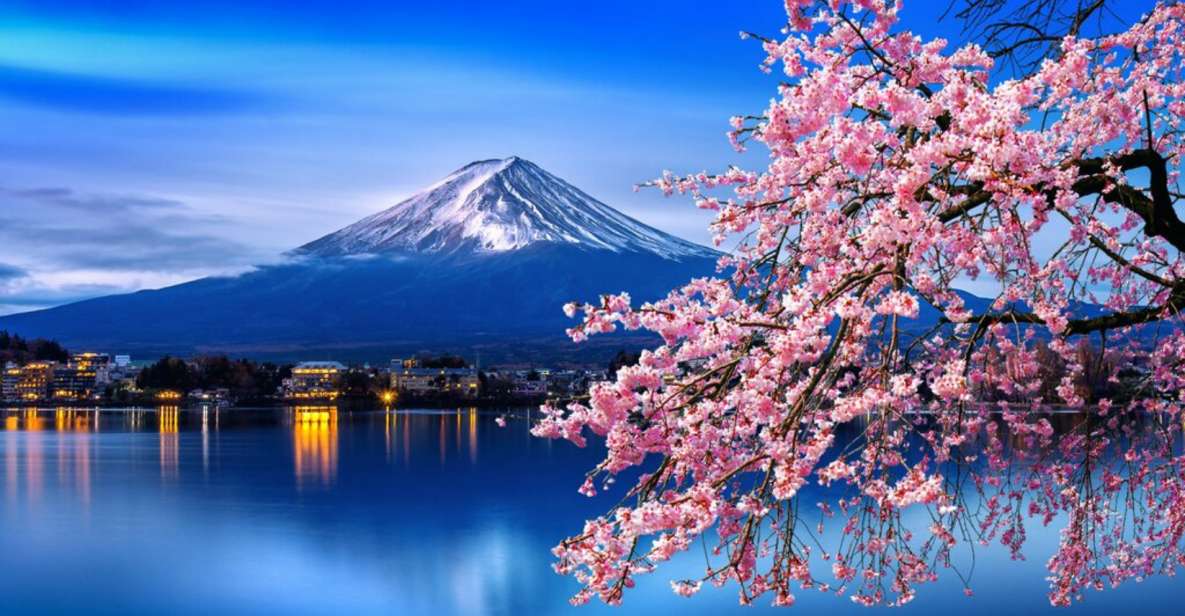 Private Day Trip to Mt. Fuji & Hakone Cherry Blossoms - Tour Overview