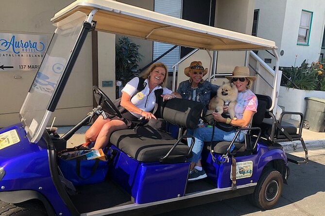 Private Guided Golf Cart Tour of Avalon - Tour Highlights