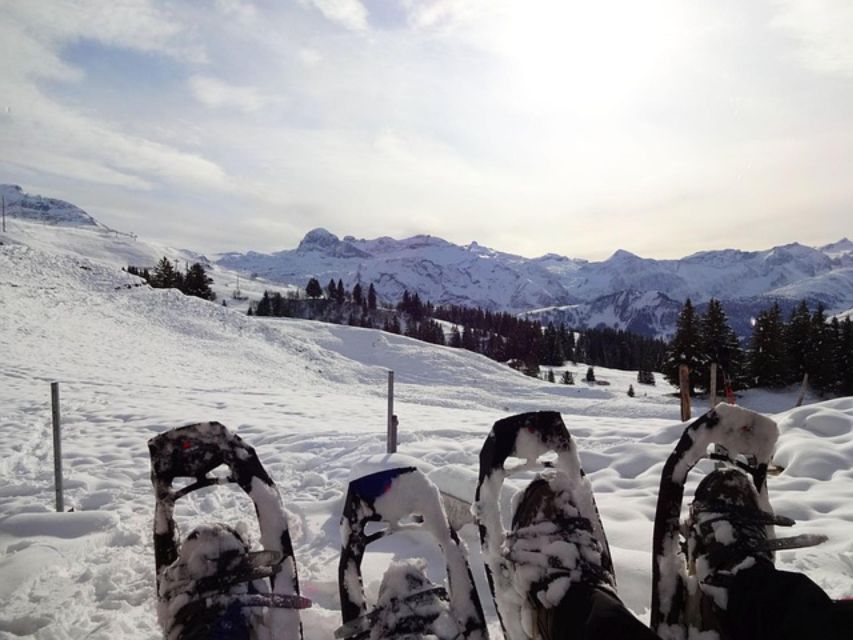 Private Snowshoeing Full Day