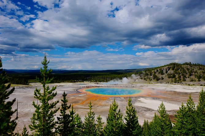 Private Yellowstone Tour: ICONIC Sites, Wildlife, Family Friendly Hikes + Lunch