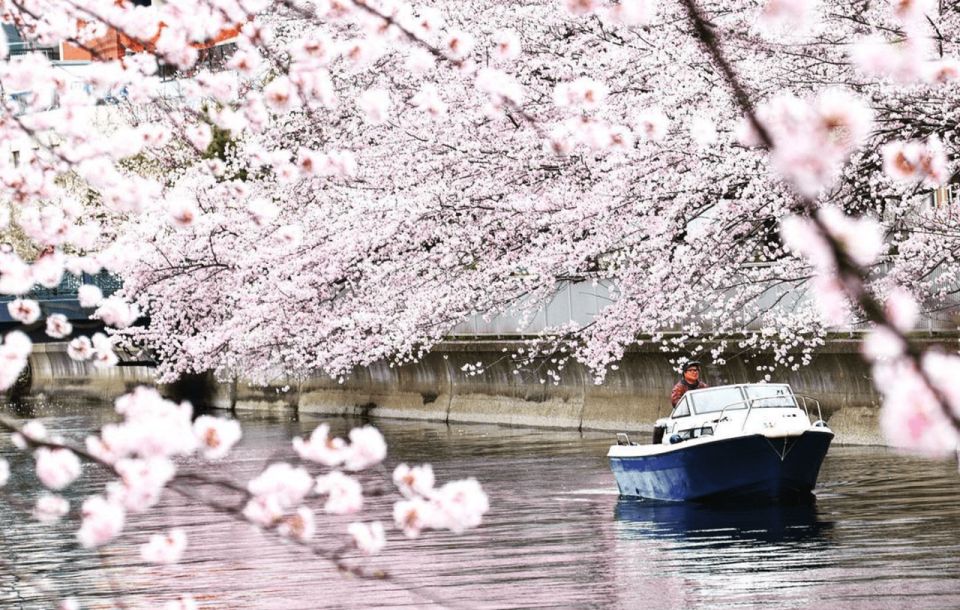 Relaxed Tokyo Bay Cruise Enjoy Your Own Food & Drinks at Sea - Tour Details