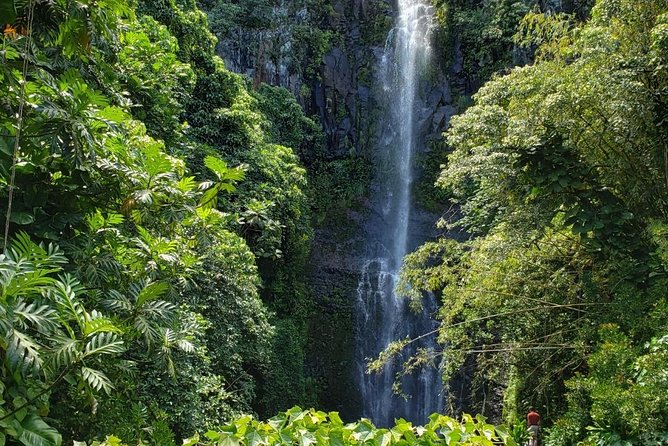 Road to Hana Adventure in Maui- Private - Just for Your Group - Customizable Itinerary Options