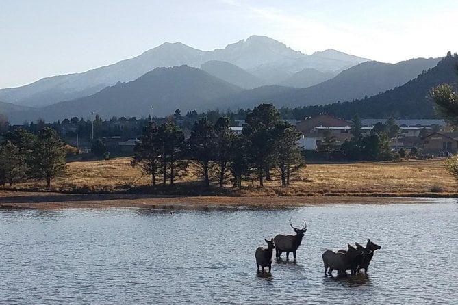 Rocky Mountain National Park and Estes Park Tour From Denver Winter and Spring - Tour Overview