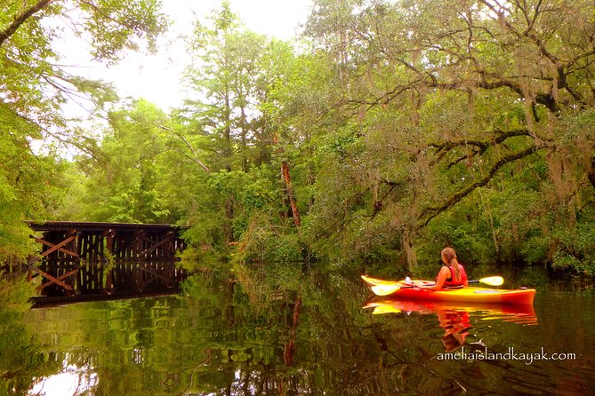 Self Guided Family Friendly Kayak Rental Experience Old Florida - Location and Overview
