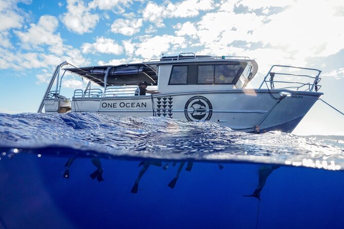 Shark Tour Dive With Sharks in Hawaii With One Ocean Diving - Tour Details