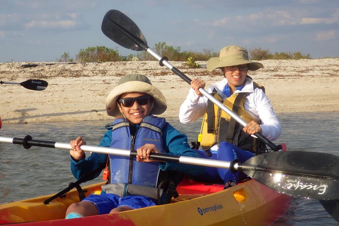 Small Group Boat, Kayak and Walking Guided Eco Tour in Everglades National Park - Exploring Diverse Landscapes