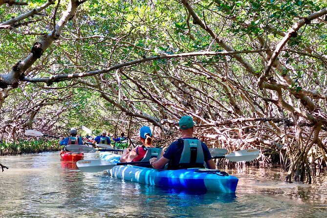 Small Group Kayak Tour of the Shell Key Preserve - Exploring the Mangrove Tunnels and Seagrass Meadows